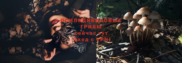 герыч Белокуриха